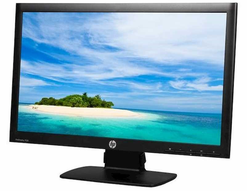 HP ProDisplay P221 Monitor