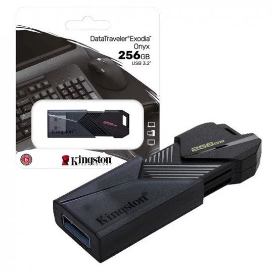 Kingston 256GB USB Drive