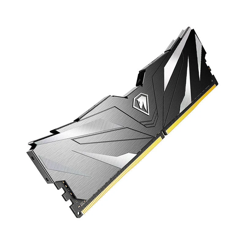 Netac 32GB RAM