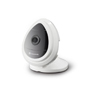  IP Cameras 